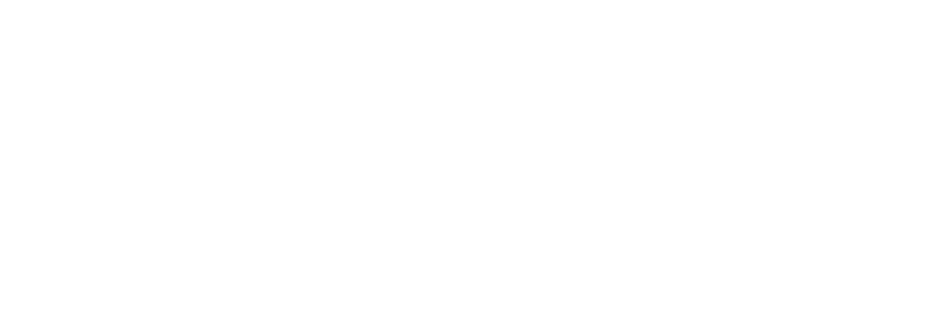 Beauty Car Establishment